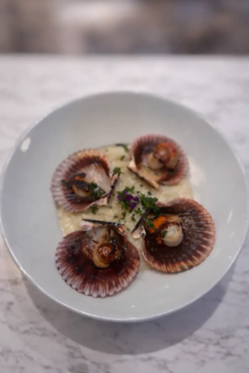 Coquilles Saint-Jacques Papi Jano